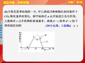 光合作用与细胞呼吸 基础查漏补缺与典例剖析