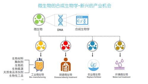 细胞工厂 PHA从实验室到商业化的成长之路