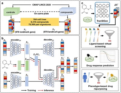 细胞技术研发与应用 前沿突破与未来展望